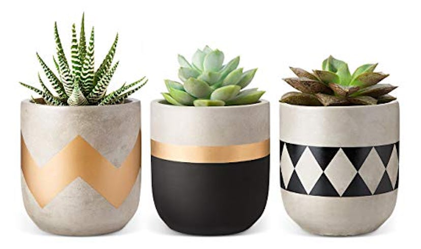 Mkono Succulent Plant Set of 3