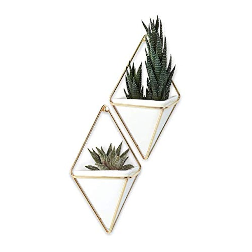 Geometric Wall Hangers