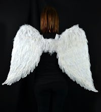 White Angel Wings