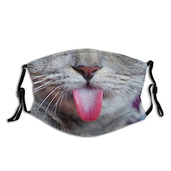 Funny Cat Face Mask With Filter Pocket