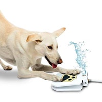 Trio Gato Outdoor Dog Drinking Water Fountain