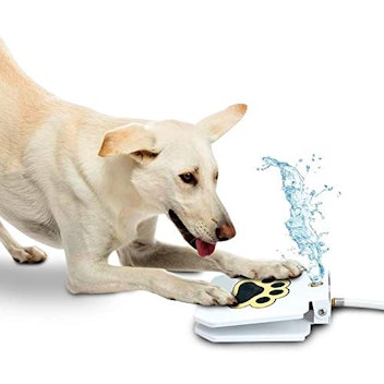 Trio Gato Outdoor Dog Drinking Water Fountain
