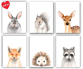 Designs By Maria Inc Set of 6 Woodland Animal Portraits