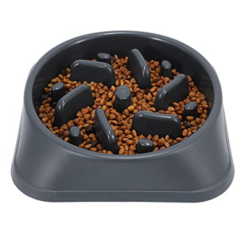 JASGOOD Eco-Friendly Slow Feeder Dog Bowl