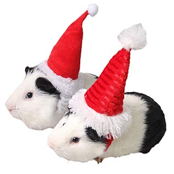 Aniac Santa Hats for Hamsters