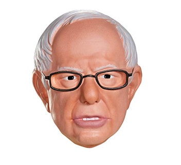 Bernie Sanders Mask