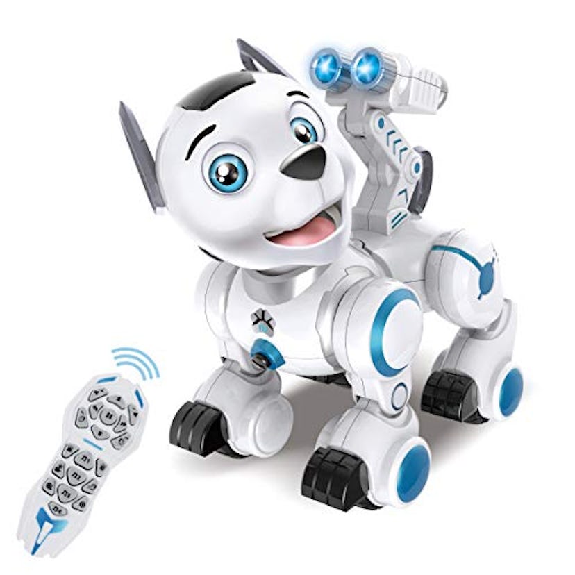 fisca Robotic Dog