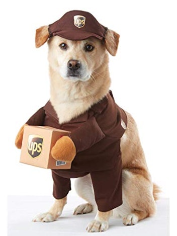 California Costumes Pet UPS Pal Dog Costume