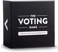 Player Ten The Voting Game