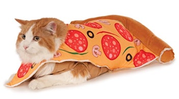 Pizza Slice Pet Costume
