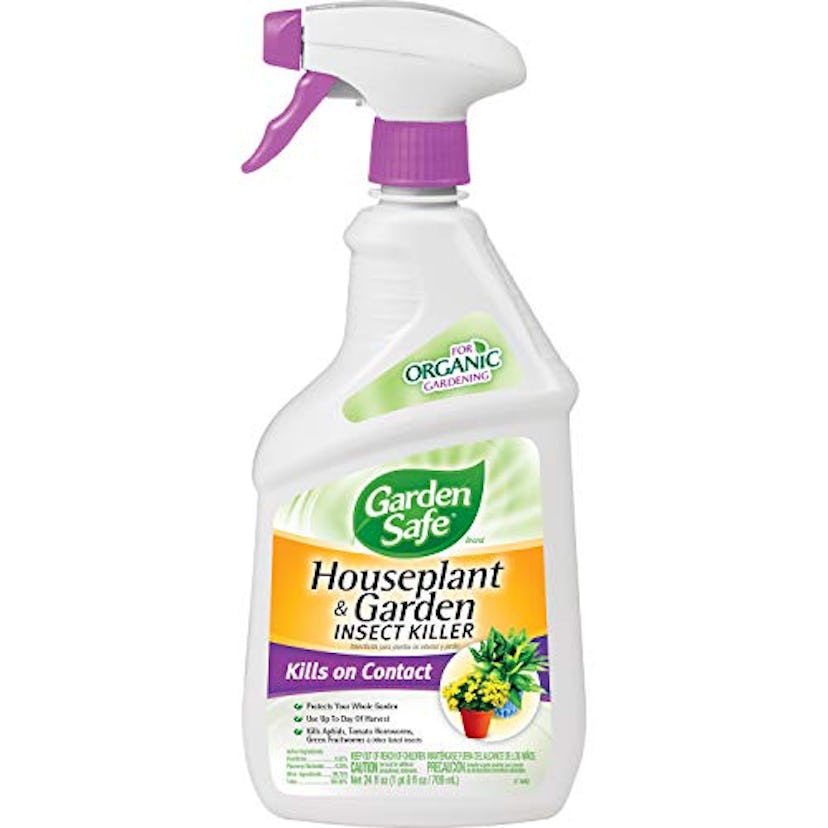 Garden Safe 80422 Houseplant and Garden Insect Killer