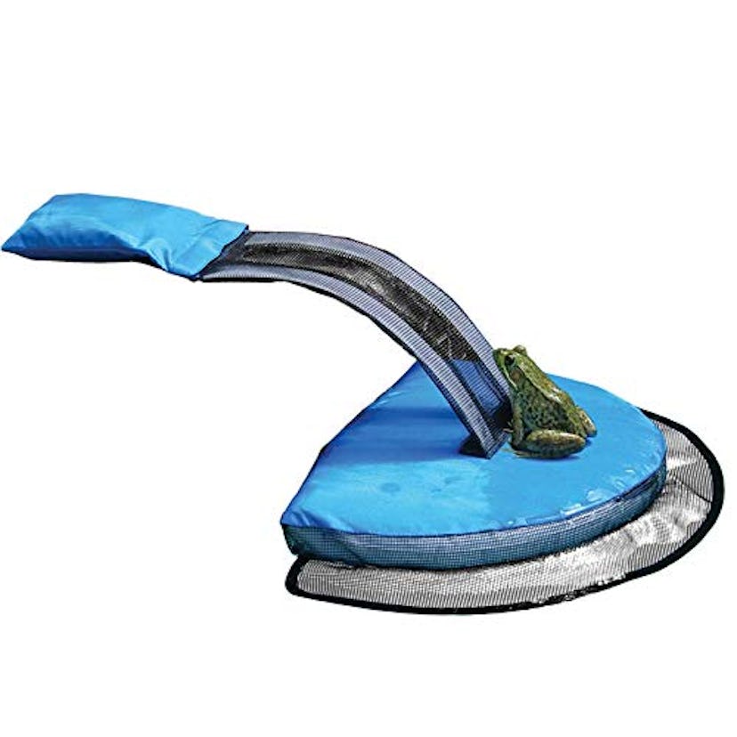 Swimline Store Pool Ramp for Animals