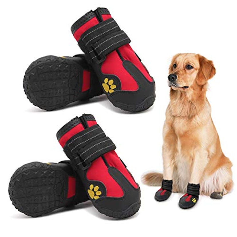 PK.ZTopia Dog Rain Boots