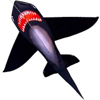 HENGDA Black Shark Kite