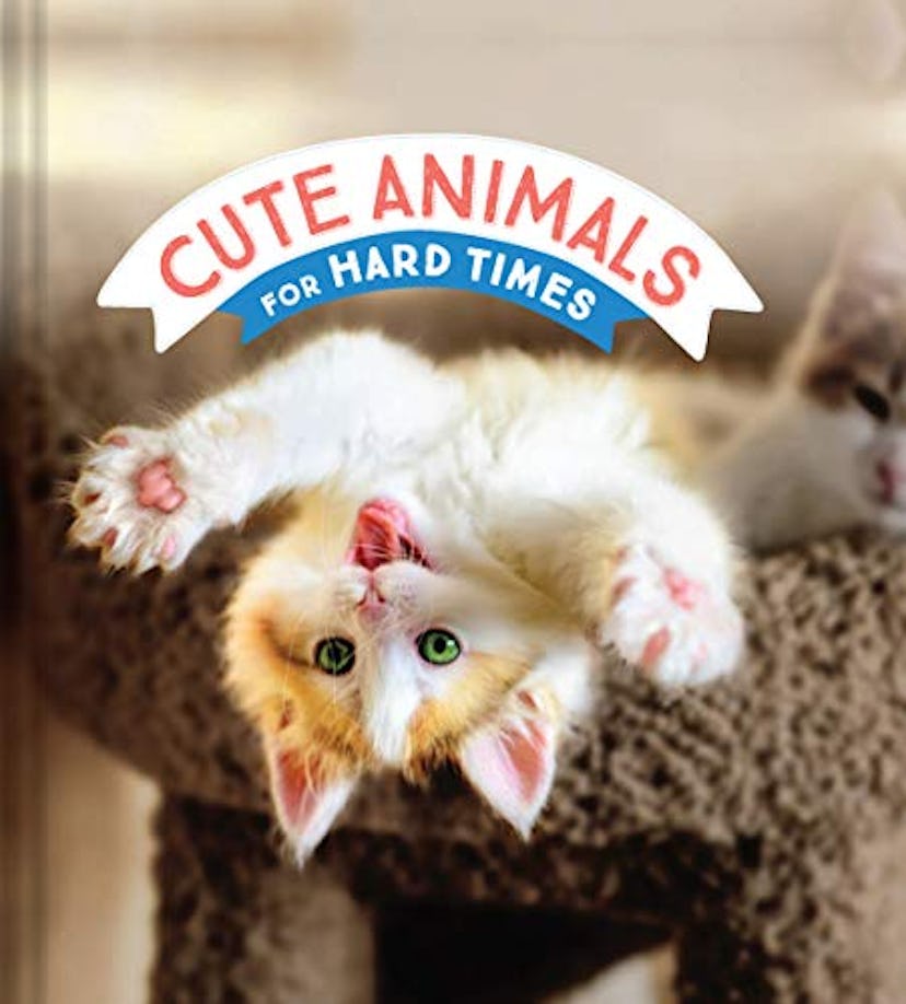 Cute Animals For Hard Times Book