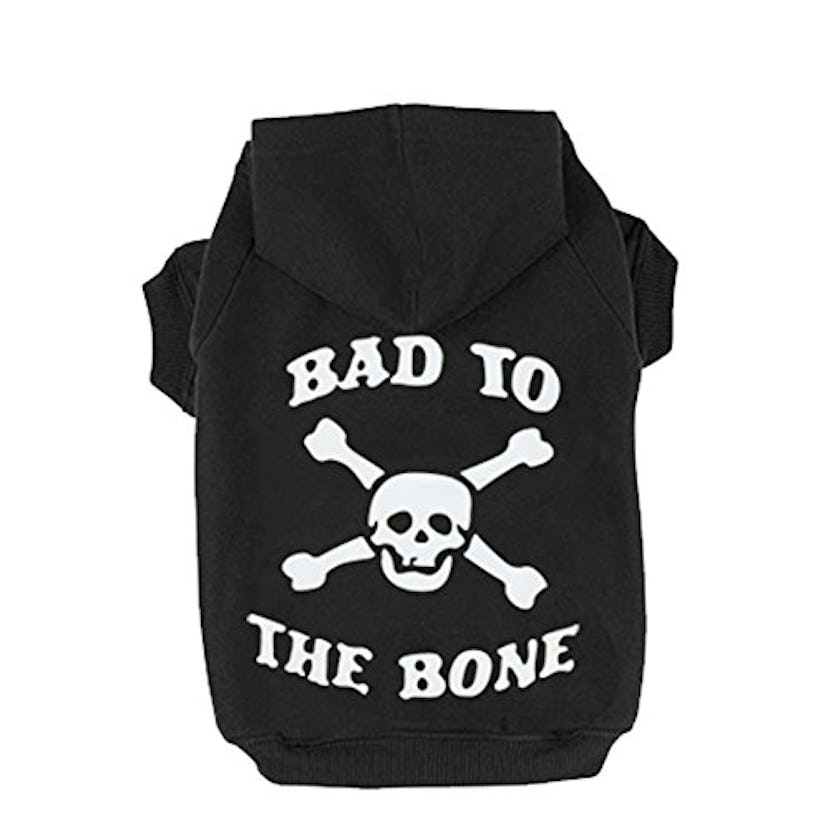 Expawlorer Bad To The Bone Sweater