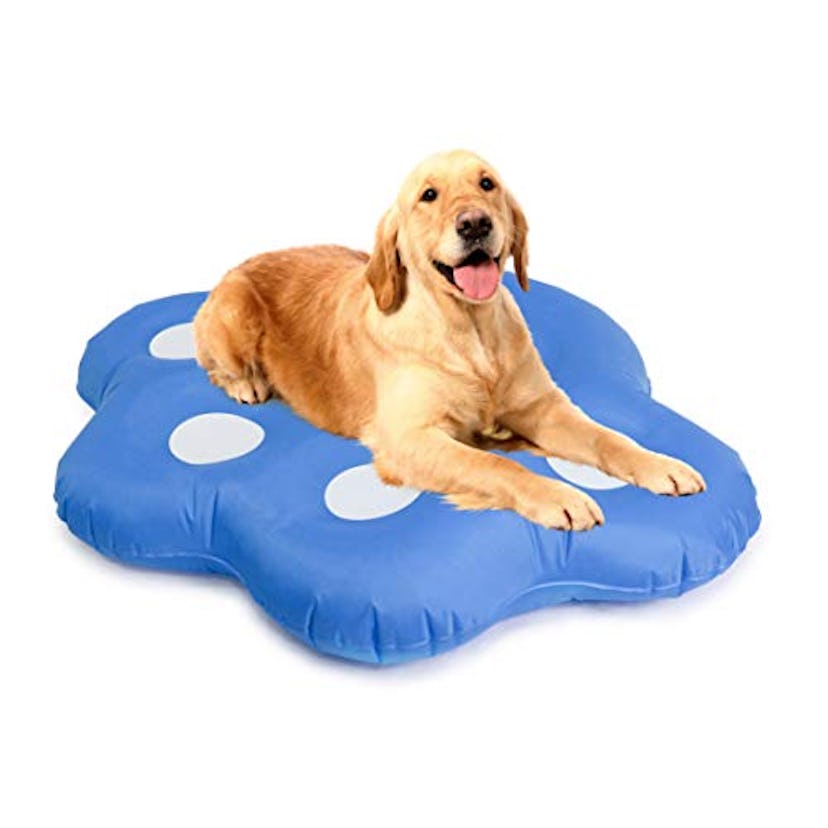 Milliard Dog Float