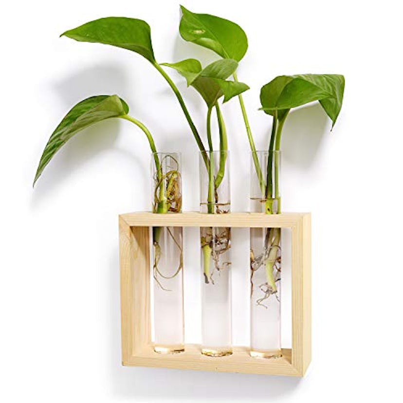 Mkono Wall Hanging Glass Planter