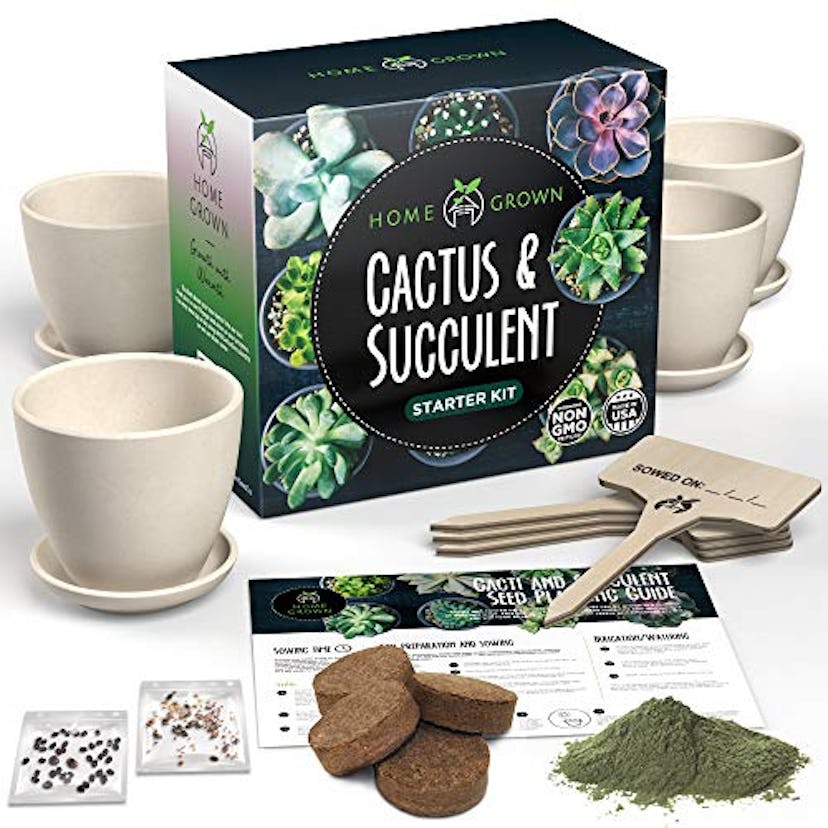 Succulent & Cactus Seed Kit for Planting