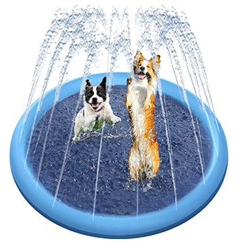 Hyper Pet Fetching Dog Toys - Throwing Bone Toy Made of EVA Foam -  Lightweight & Floats on Water
