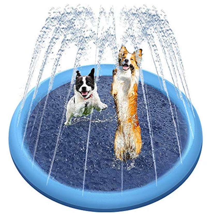 Raxurt Dog Pool