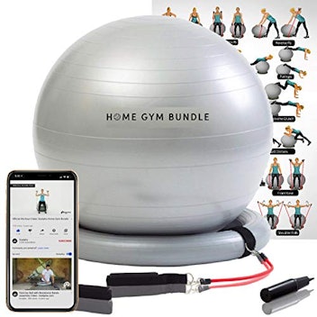 Home Gym Exercise Ball