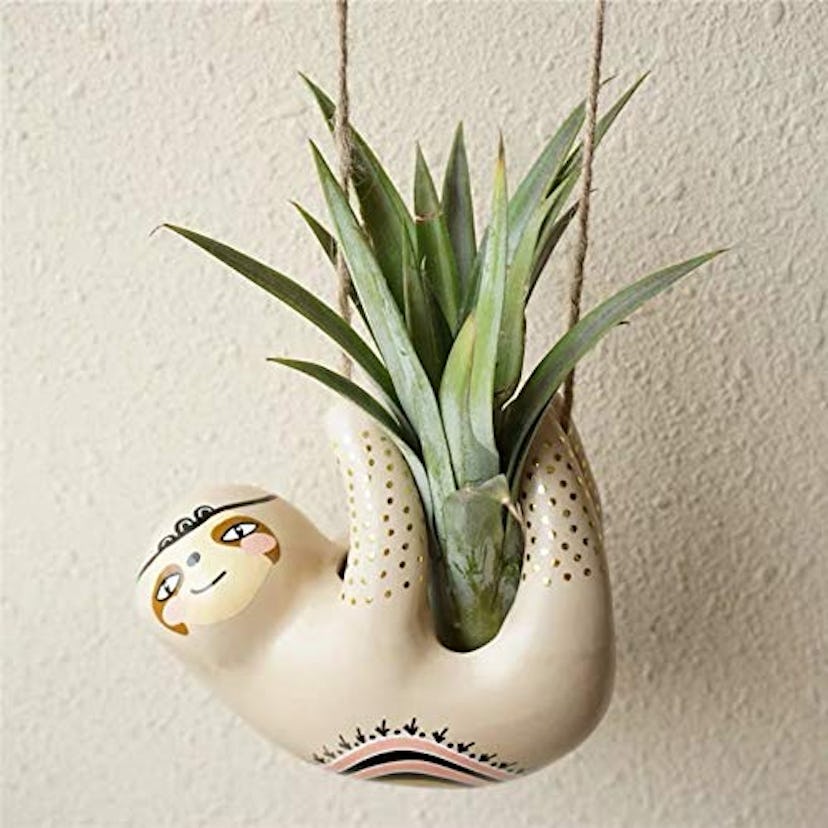 Cute Sloth Ceramic Wall Hanging Succulent Planters