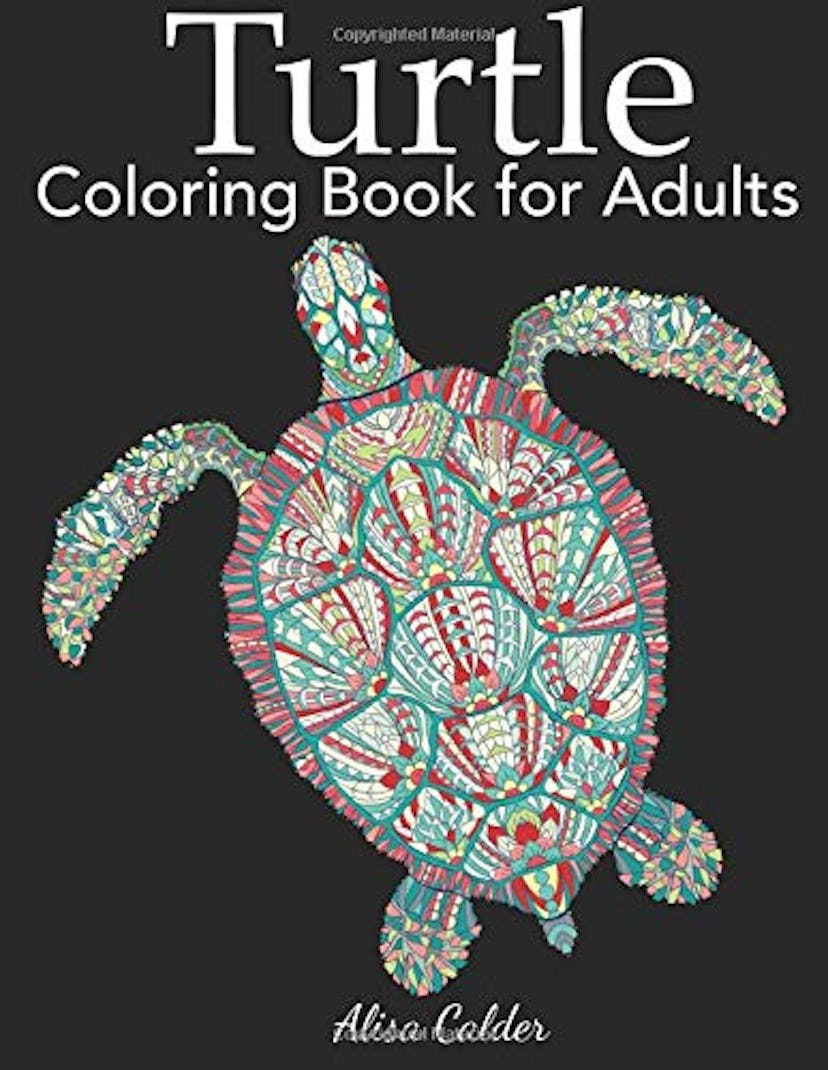 Turtle Coloring Book for Adults