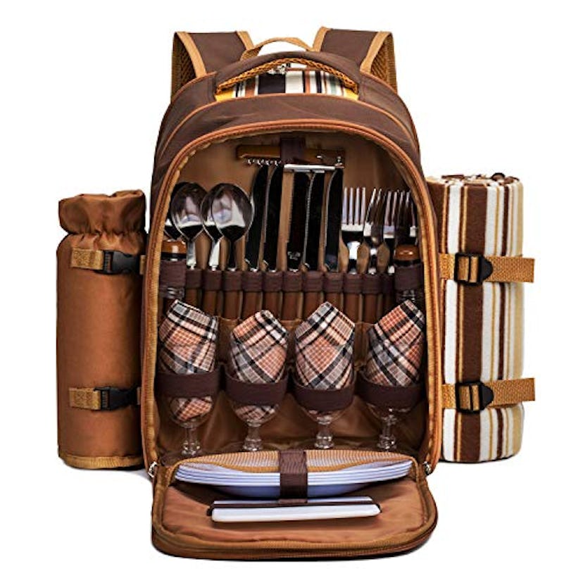 apollo walker Picnic Backpack Bag