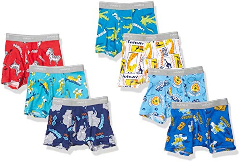 Hane's Tagless Day of the Week Boxer Briefs (7-Pack)