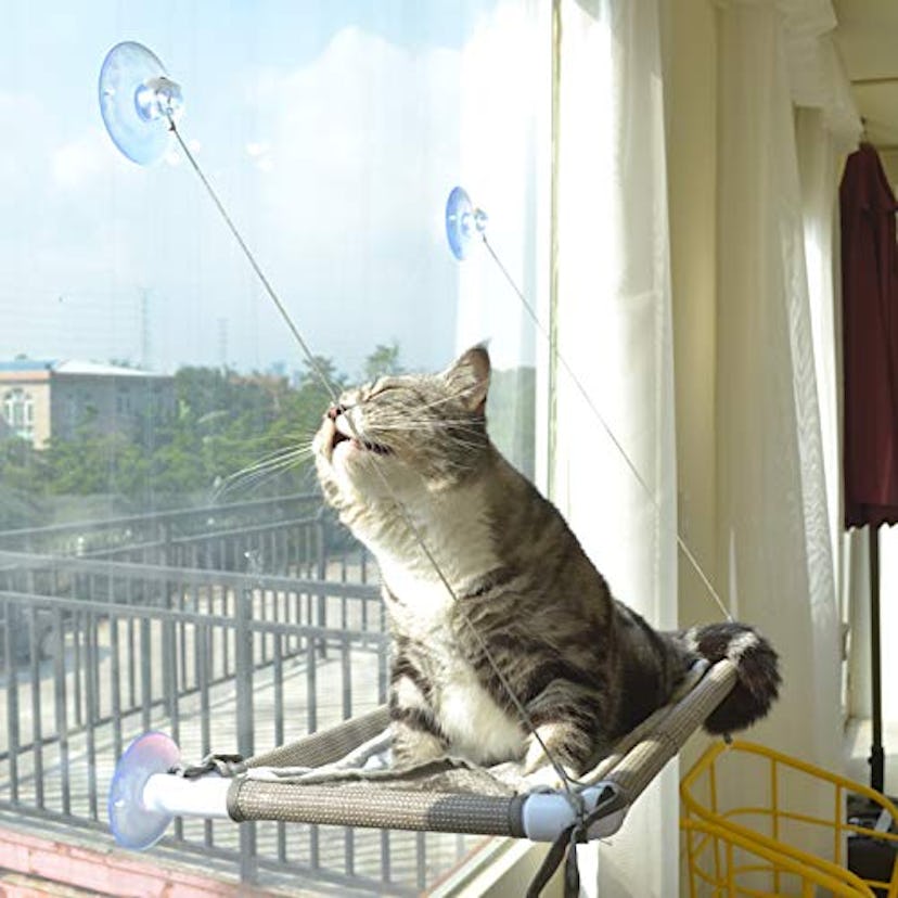 PEFUNY Window Cat Hammock