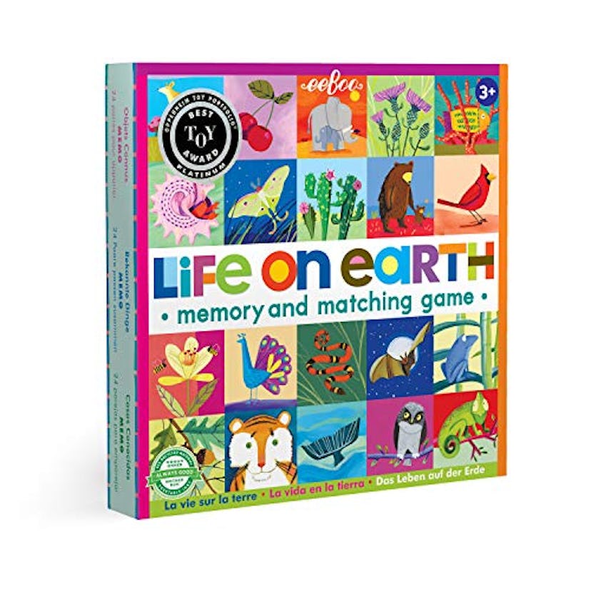 eeBoo's Life on Earth Memory and Matching Game