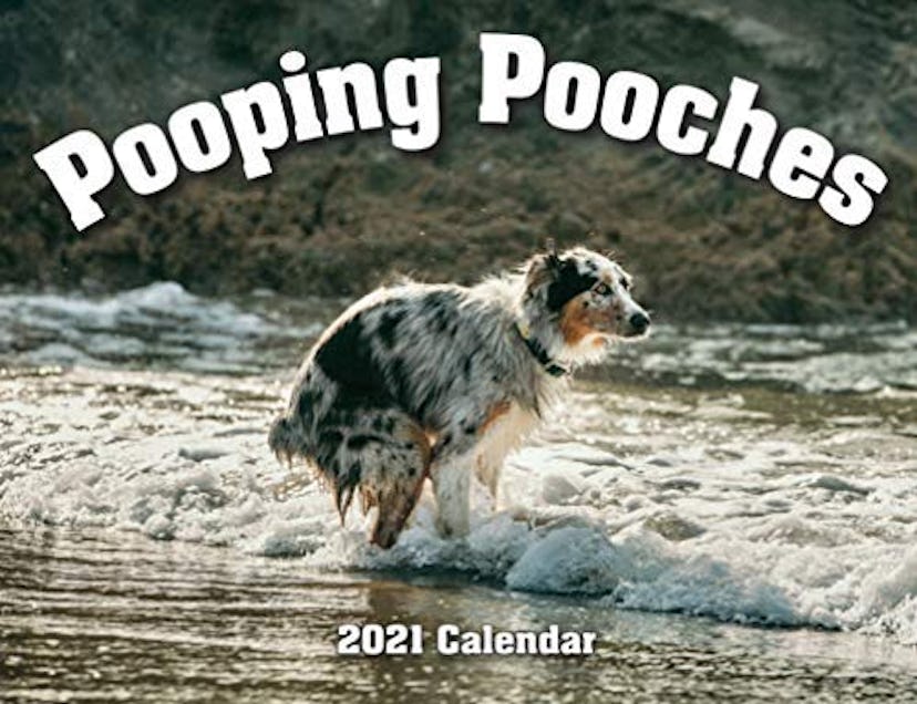 2021 Pooping Pooches Calendar