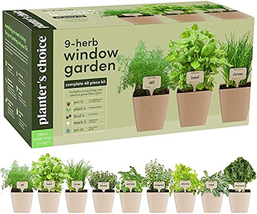 9 Herb Window Garden