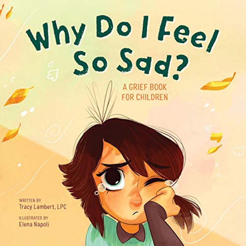 "Why Do I Feel So Sad?: A Grief Book for Children"
