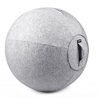 Bintiva Stability Ball