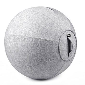 Bintiva Stability Ball