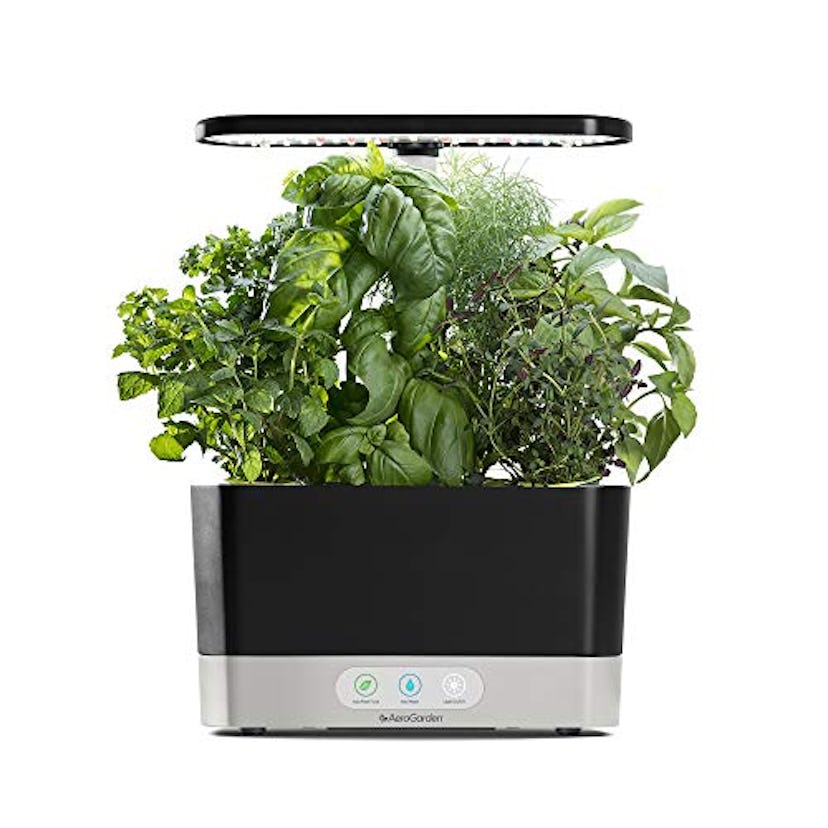 AeroGarden Harvest-Black Indoor Hydroponic Garden