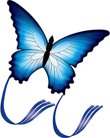 HENGDA Butterfly Kite