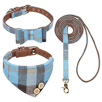 BINGPET Bow Tie Dog Collar with Leash Set