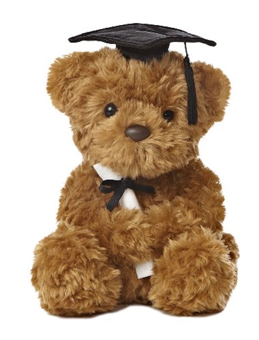 Aurora Graduation Stuffed Animal Bear