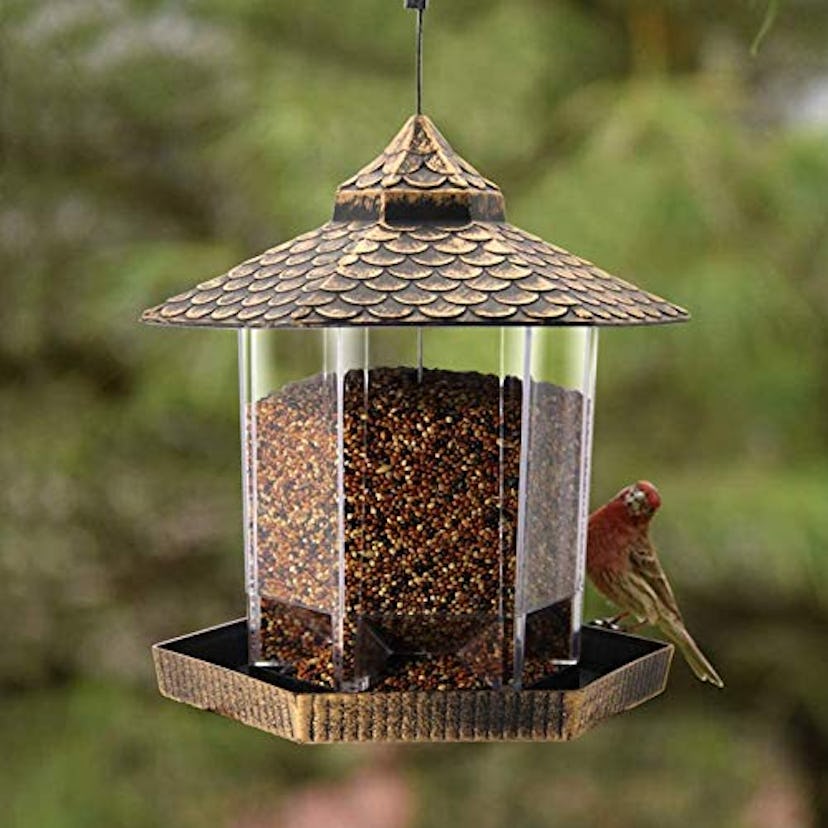 Twinkle Star Store Hanging Bird Feeder