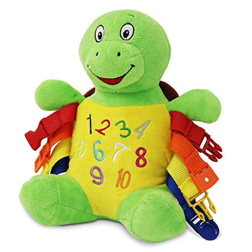 Interactive Learning Toy: Bucky the Turtle