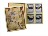 Coffee Masters Around the World in Twelve Coffees Gift Set