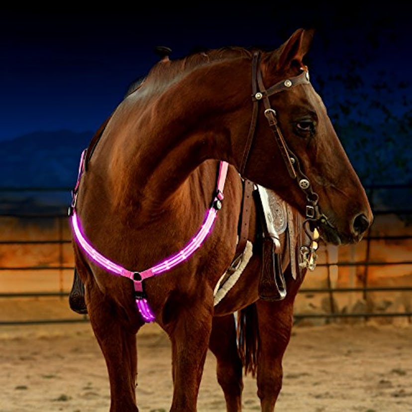 LED Horse Breastplate Collar