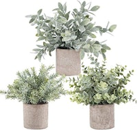 3-Pack Mini Potted Artificial Eucalyptus Plants