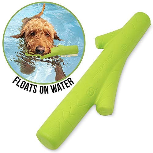 pool toys for large dogs