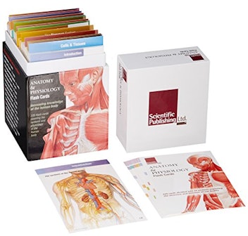 Scientific Publishing Anatomy and Physiology Flashcards 