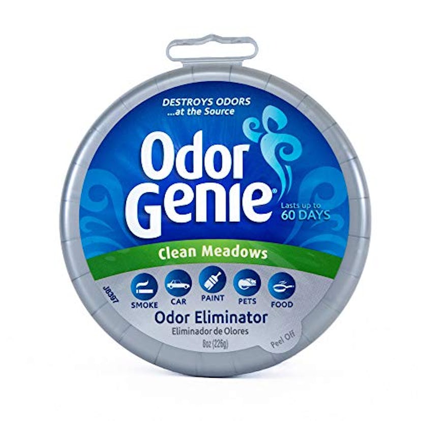 DampRid Odor Genie