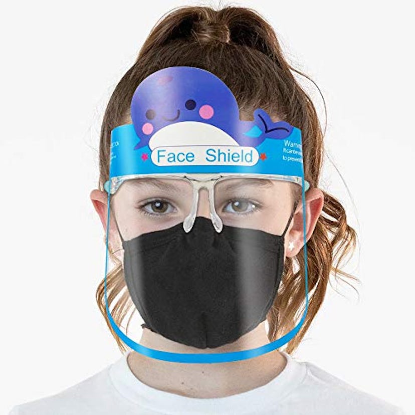 Sunzel 6 Pack Face Shields